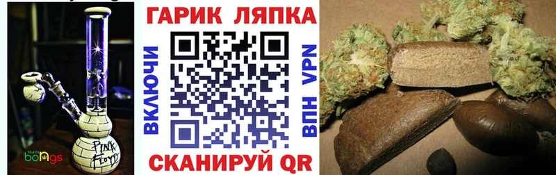 ГАШ Premium  Тетюши 