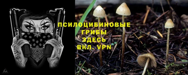 ешки Баксан