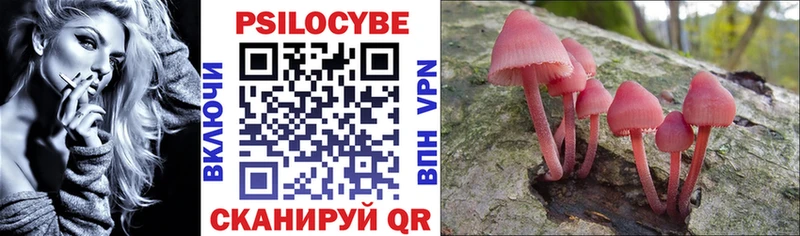 Псилоцибиновые грибы Psilocybine cubensis  магазин    Тетюши 